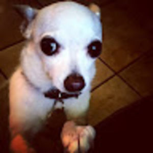 Meet your Posher, Tory